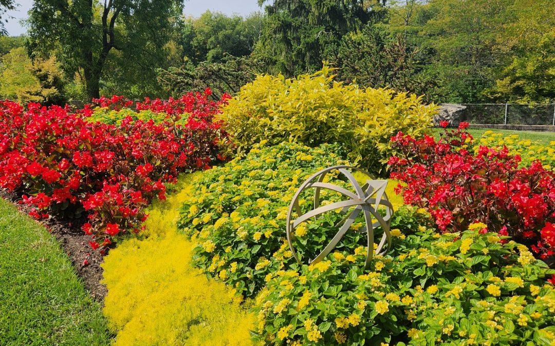 Exploring Nature’s Wonders at the Schedel Arboretum & Gardens