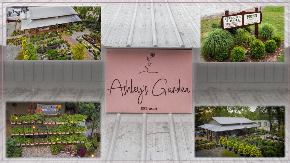 5 Star Garden Glory at Ashley’s Garden: Service and Selection Highlights