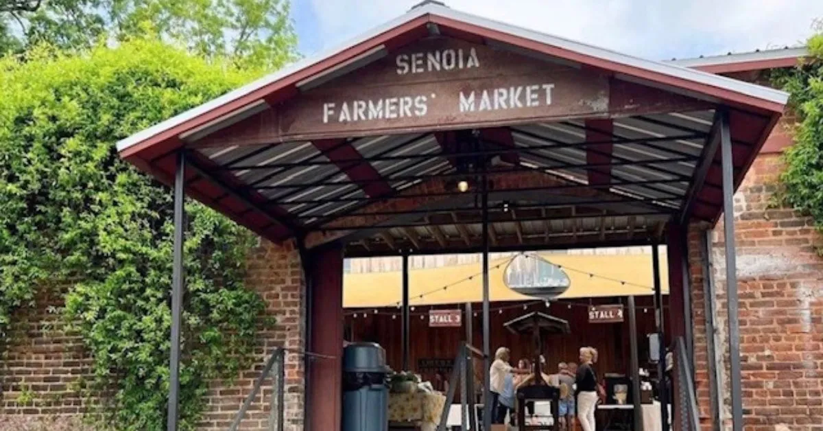 A bustling morning at Senoia Farmers Market, highlighting the community spirit and variety of local goods available.