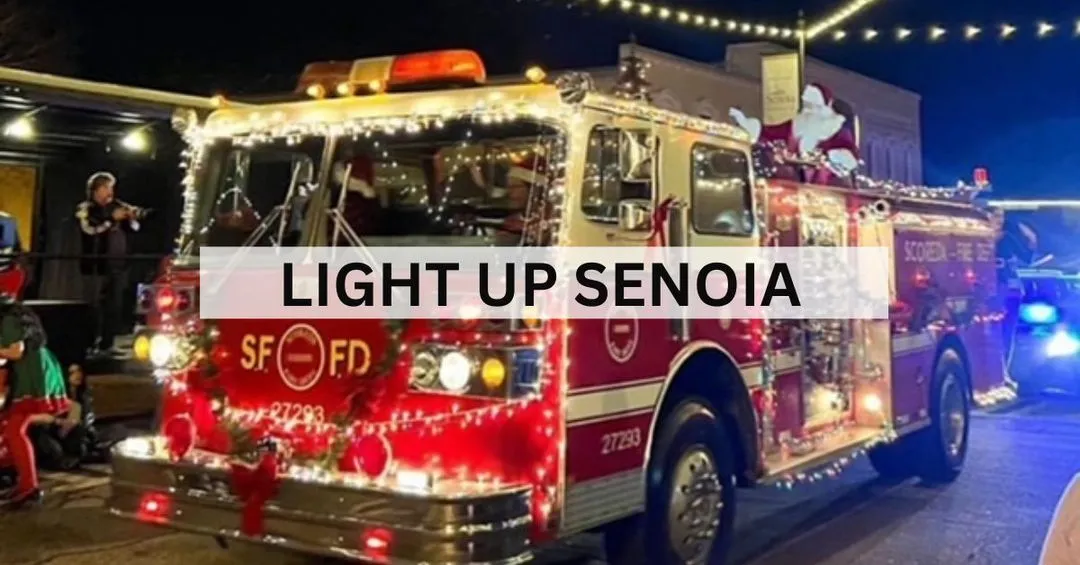 Sparkle and Shine at the Light Up Senoia Christmas Parade & Tree Lighting